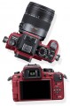 Panasonic LUMIX FZ35